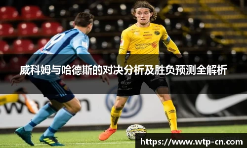 威科姆与哈德斯的对决分析及胜负预测全解析