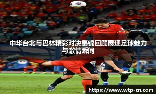 旺财28