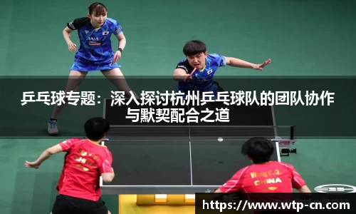乒乓球专题：深入探讨杭州乒乓球队的团队协作与默契配合之道